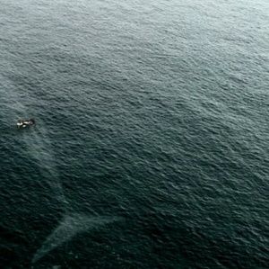 Meet your Posher, Baron